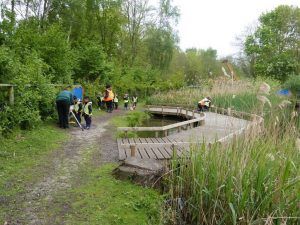 Catching mini beasts in Kingsbury Water Park