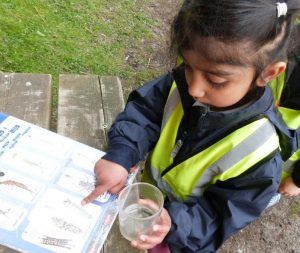 Identifying creepy crawlies!