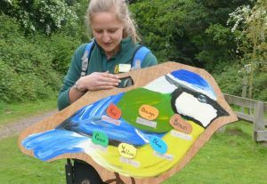 Pre-School children from Highclare School look at birds in Kingsbury Water Park